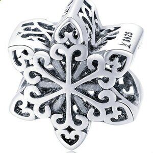925 Stering Silver Charm